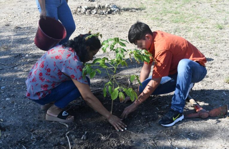 Adolescentes y sus familias reforestan Centro Regional de Ejecución de Medidas