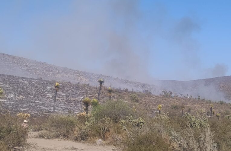 Incendio de pastizales en Tula fue provocado: PAUT