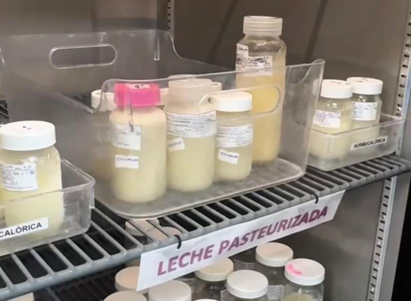 Leche Materna