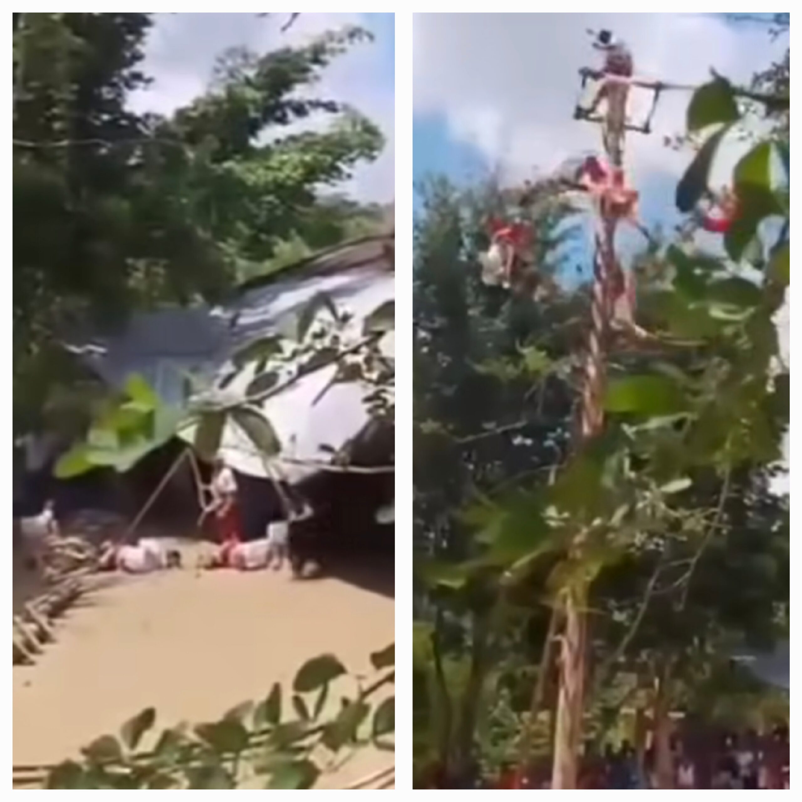 Caen Voladores de Papantla desde 10 metros: uno está grave