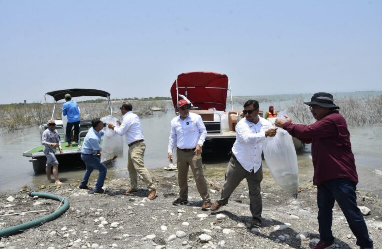 Siembran lobinas en la presa Vicente Guerrero para impulsar la pesca deportiva