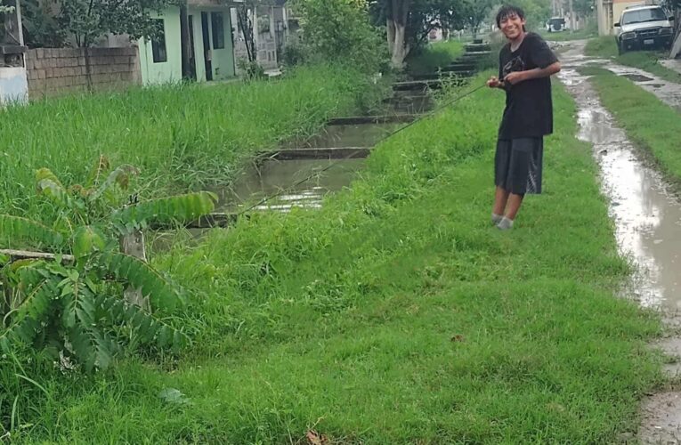 Menor de edad captura cocodrilo en colonia de Ciudad Madero
