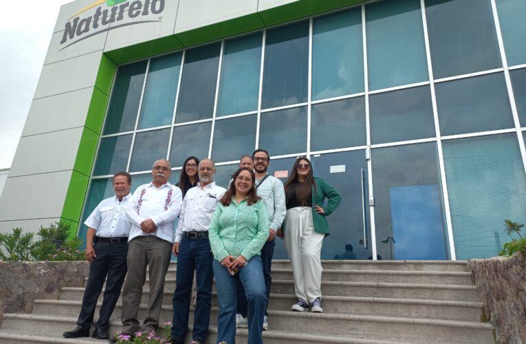 Realizan segunda prueba para la fabricación de harina nixtamalizada de sorgo blanco