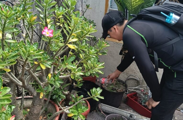 Trabaja SEBIEN en descacharrización en la zona sur
