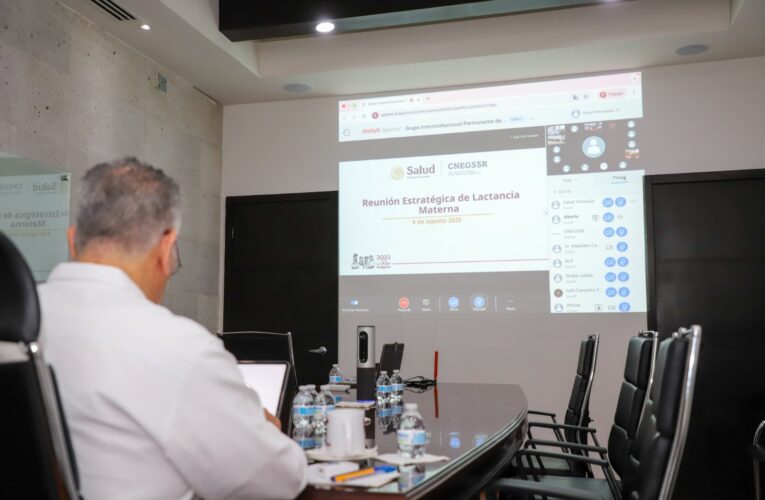 Lactancia materna; prioridad de salud pública: SST