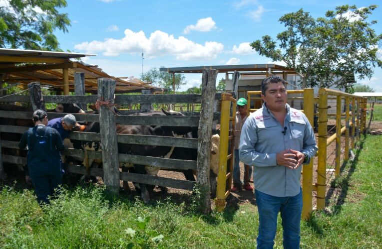 Inicia proyecto de mejoramiento genético con tecnología in vitro en Aldama y Altamira