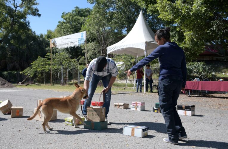 Refuerza Gobierno de Tamaulipas sanidad pecuaria con caninos especializados