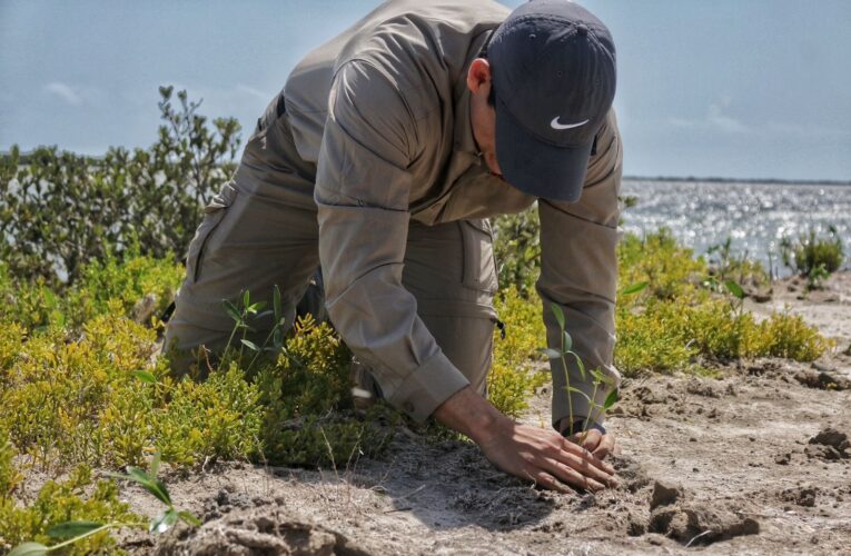 Reforesta SEDUMA litoral para cuidar comunidades y biodiversidad