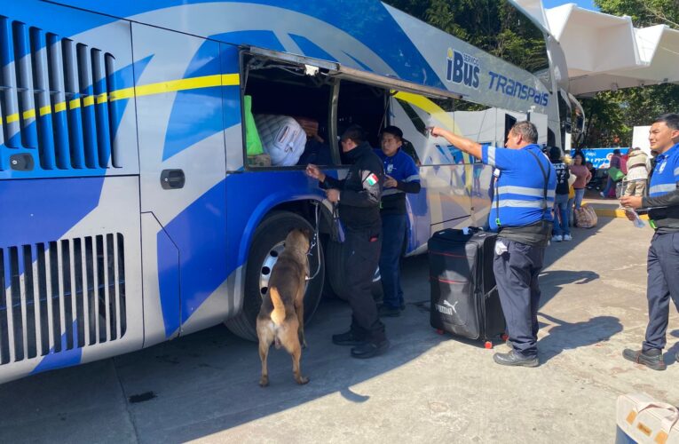 Guardia Estatal refuerza vigilancia con binomios caninos en la Central de Autobuses de Victoria
