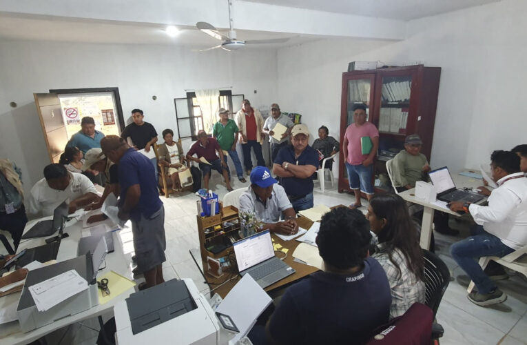 Suman más de 24 mil productoras y productores que se han acercado a cobrar el incentivo al maíz blanco del ciclo Primavera-Verano 2025