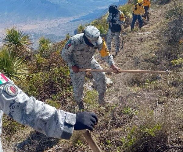 Incendio forestal “Puerto del Volcán”, en Miquihuana es liquidado al 100 %