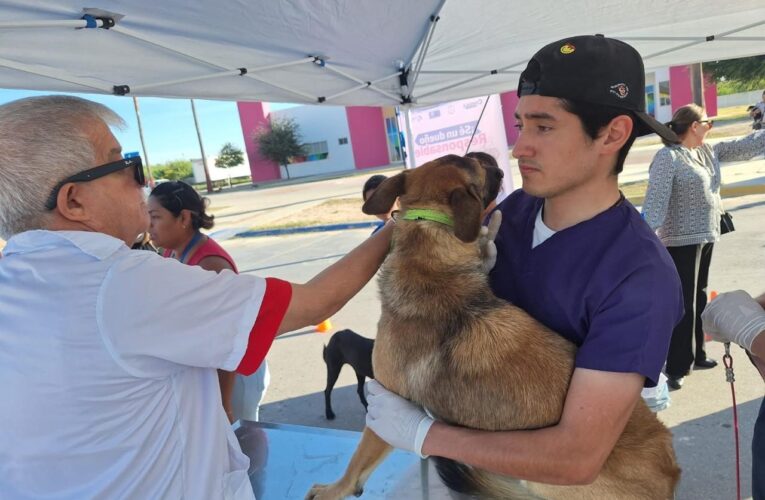 Refuerza Salud campaña de vacunación antirrábica para perros y gatos en todo el estado