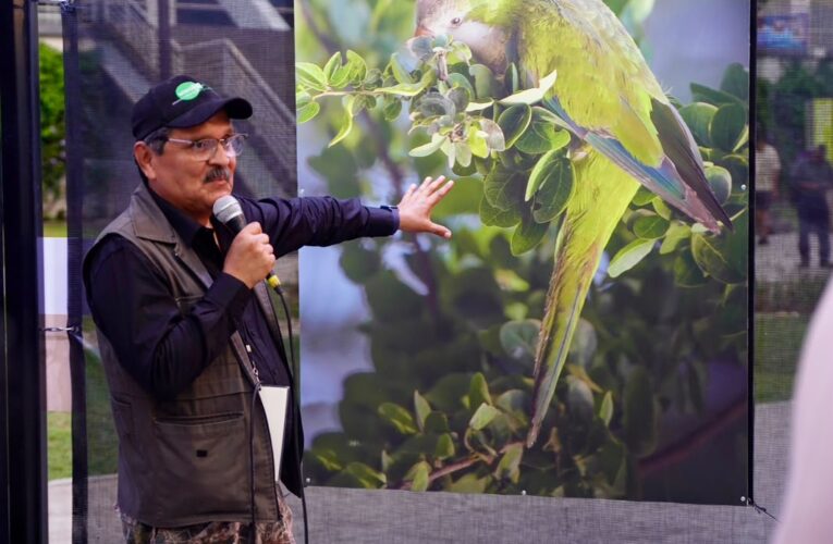 Invita Turismo a vivir “Alas en Libertad”