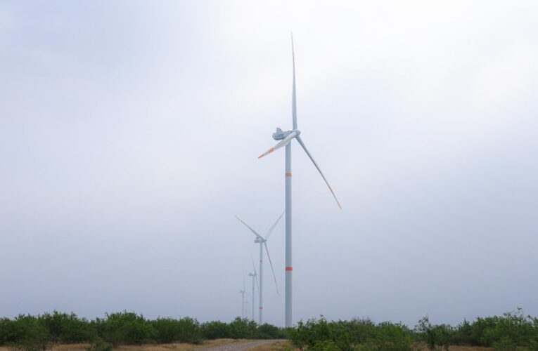Incrementará Tamaulipas más de 2500 MW con proyectos eólicos
