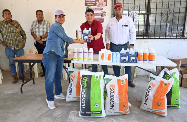 Fortalecen la sanidad animal y la productividad del campo con apoyos pecuarios