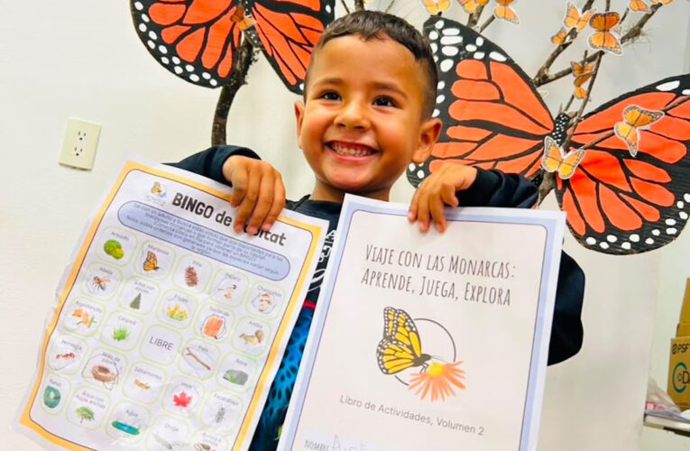 Fortalece Tamaulipas conservación de la Mariposa Monarca con participación en el Blitz Monarca 2026