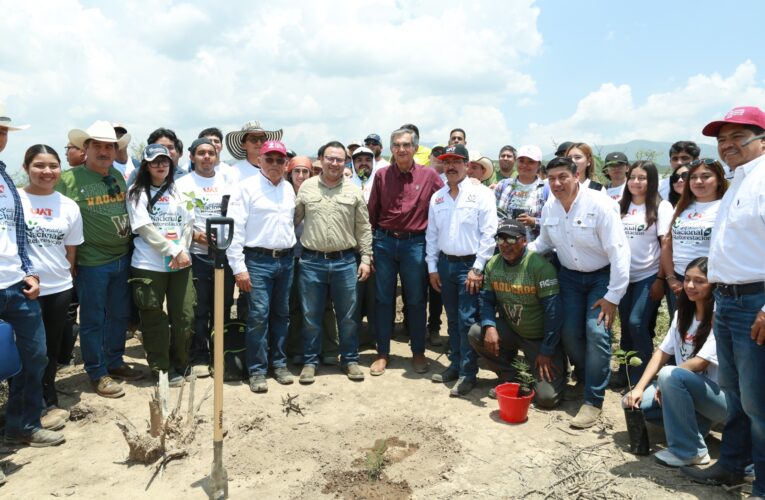 Tamaulipas participa en Jornada Nacional de Reforestación; se plantarán 15 mil árboles: Américo