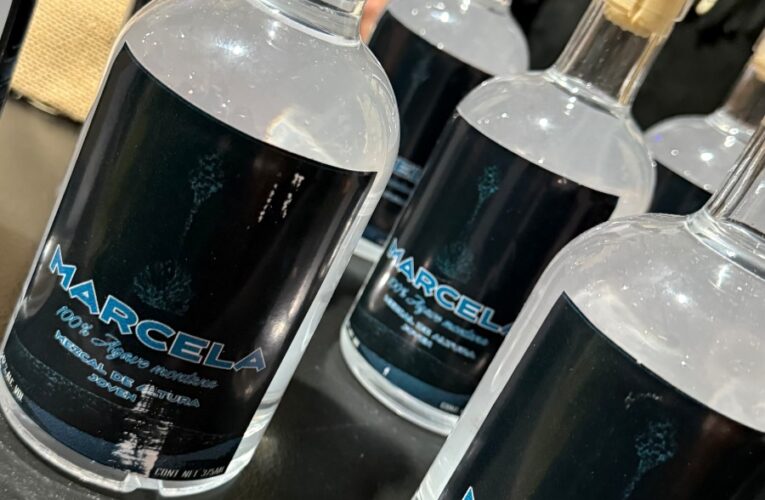 Anuncia la Secretaría de Turismo Primer Festival del Mezcal 2026